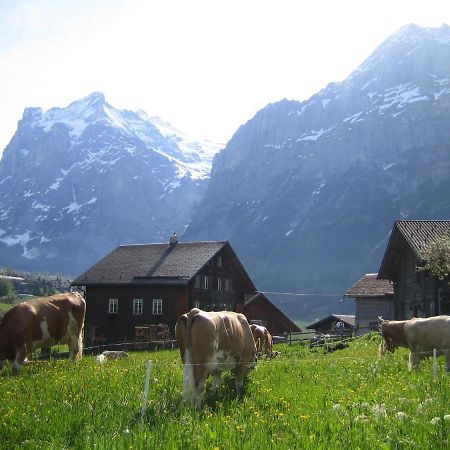 Chalet Baergblick Grindelwald Exterior photo