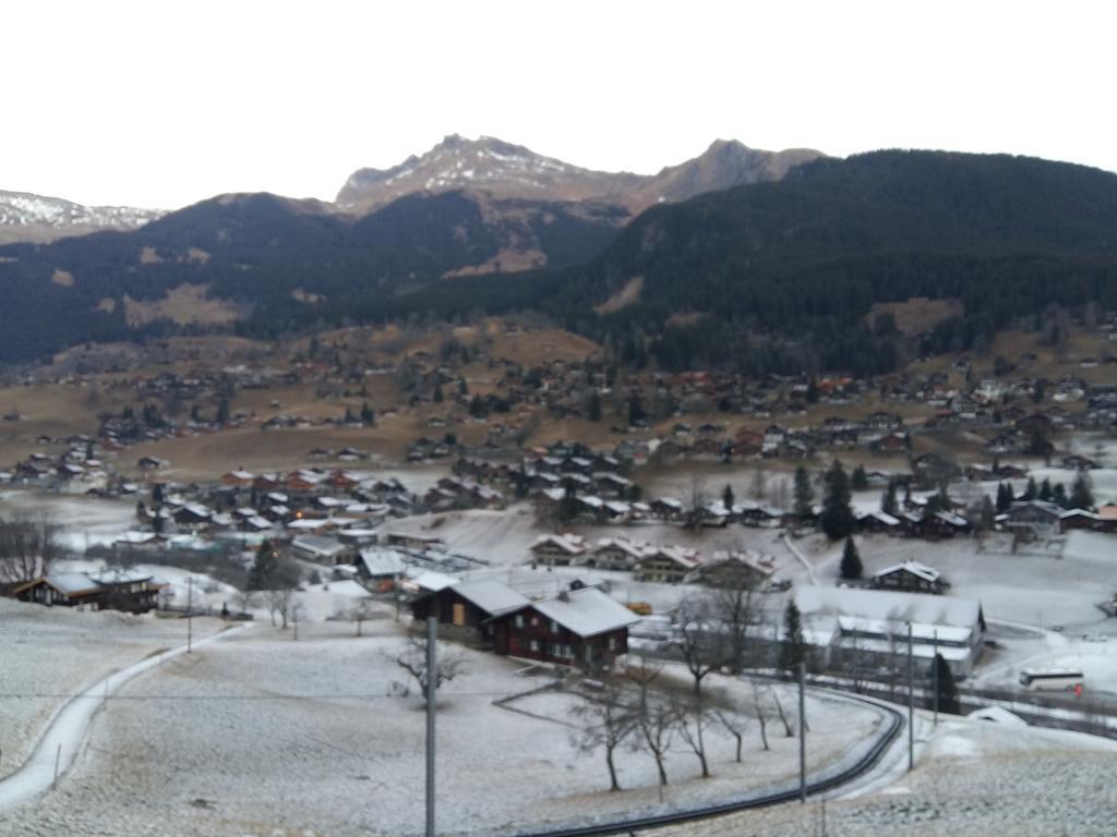 Chalet Baergblick Grindelwald Exterior photo
