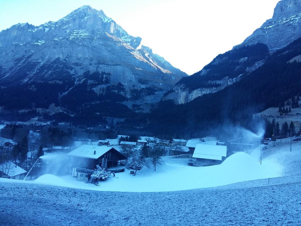 Chalet Baergblick Grindelwald Exterior photo