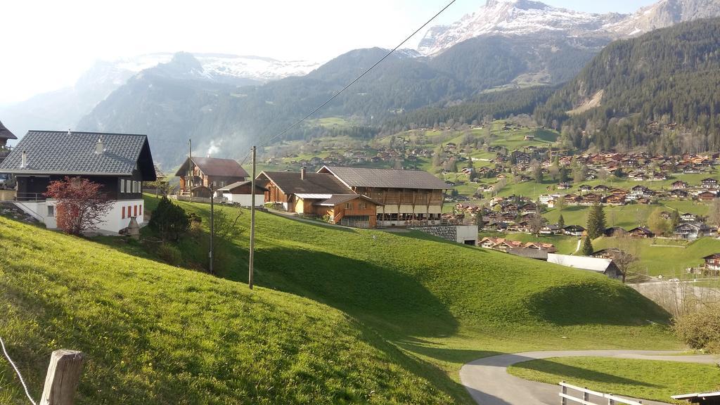Chalet Baergblick Grindelwald Exterior photo