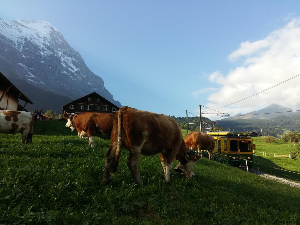 Chalet Baergblick Grindelwald Exterior photo