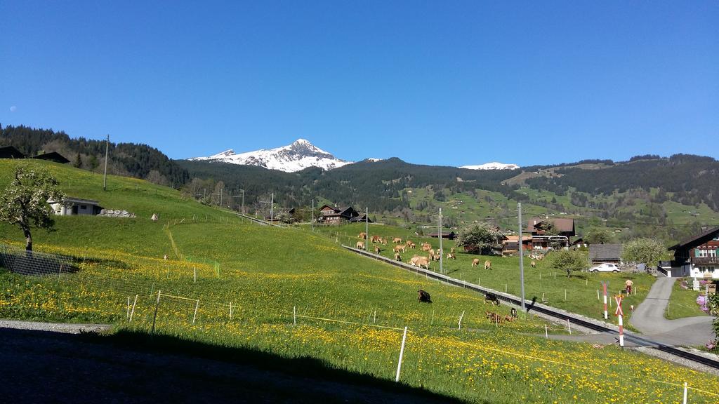 Chalet Baergblick Grindelwald Exterior photo